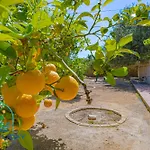Reyets 4 Bed 3 Bath Private Pool * Busot
